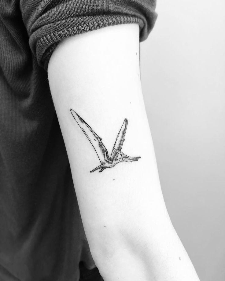 Pterodactyl tattoo