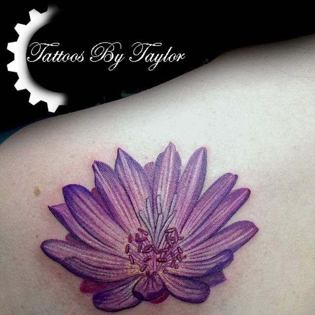 bitterroot flower tattoo