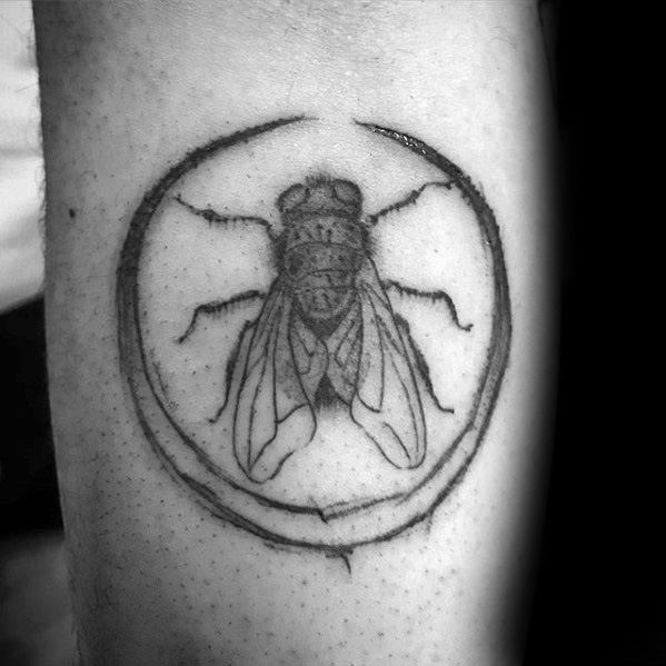 fly tattoo