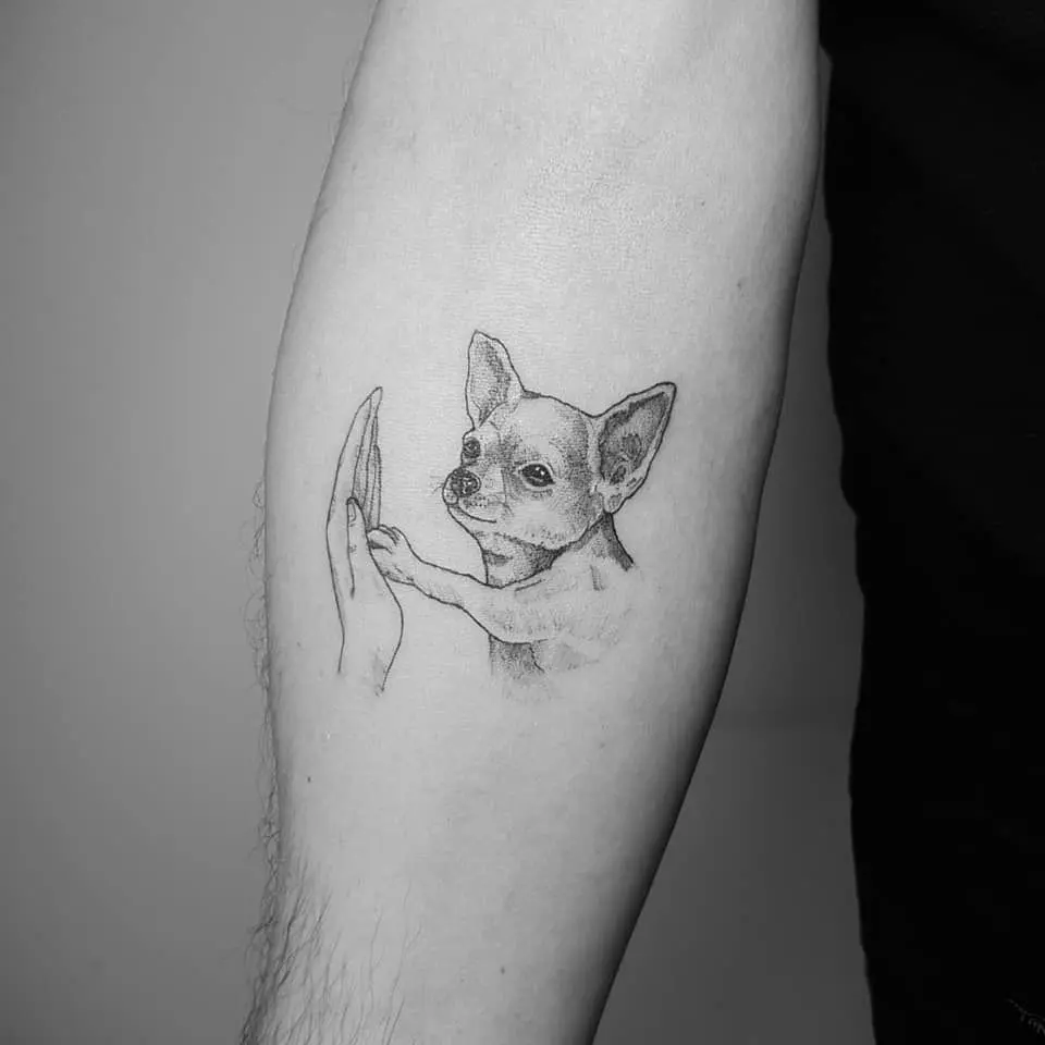 chihuahua tattoo