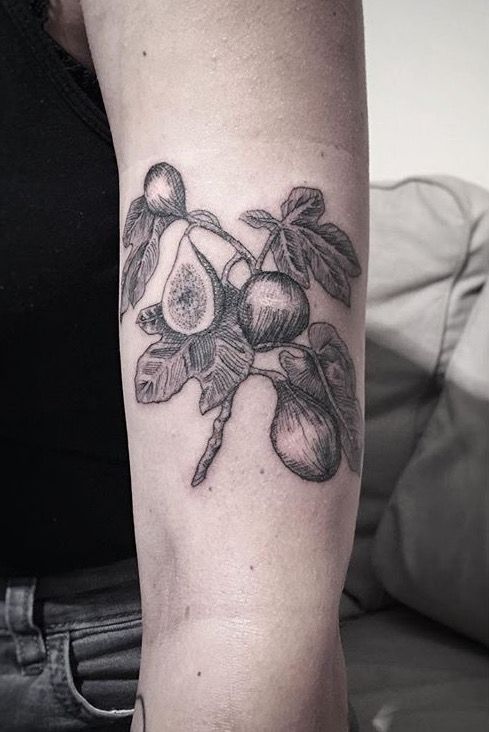 fig tree tattoo