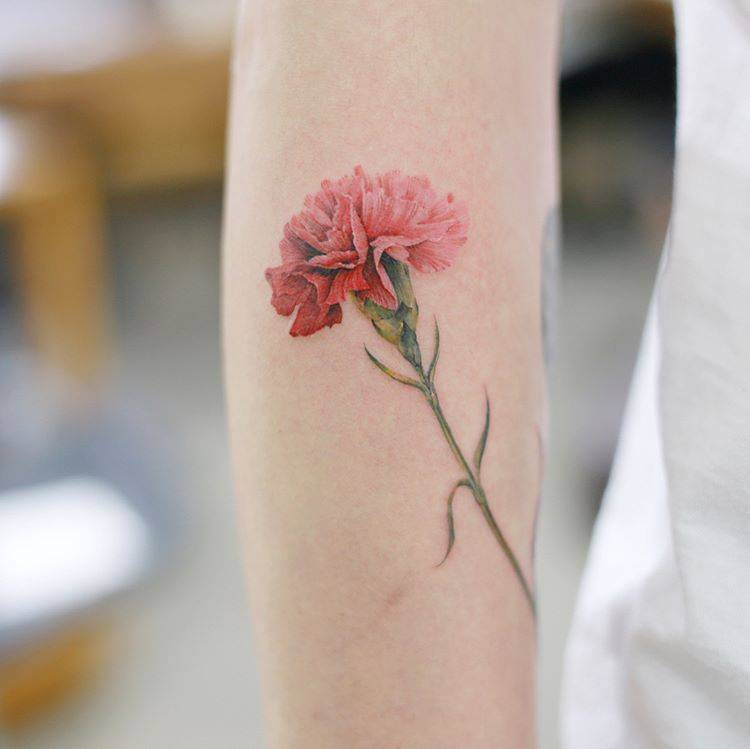 pink carnation tattoo