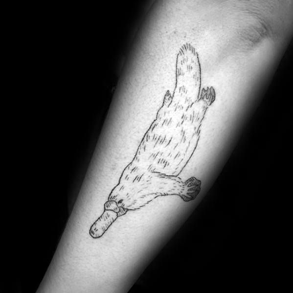 platypus tattoo