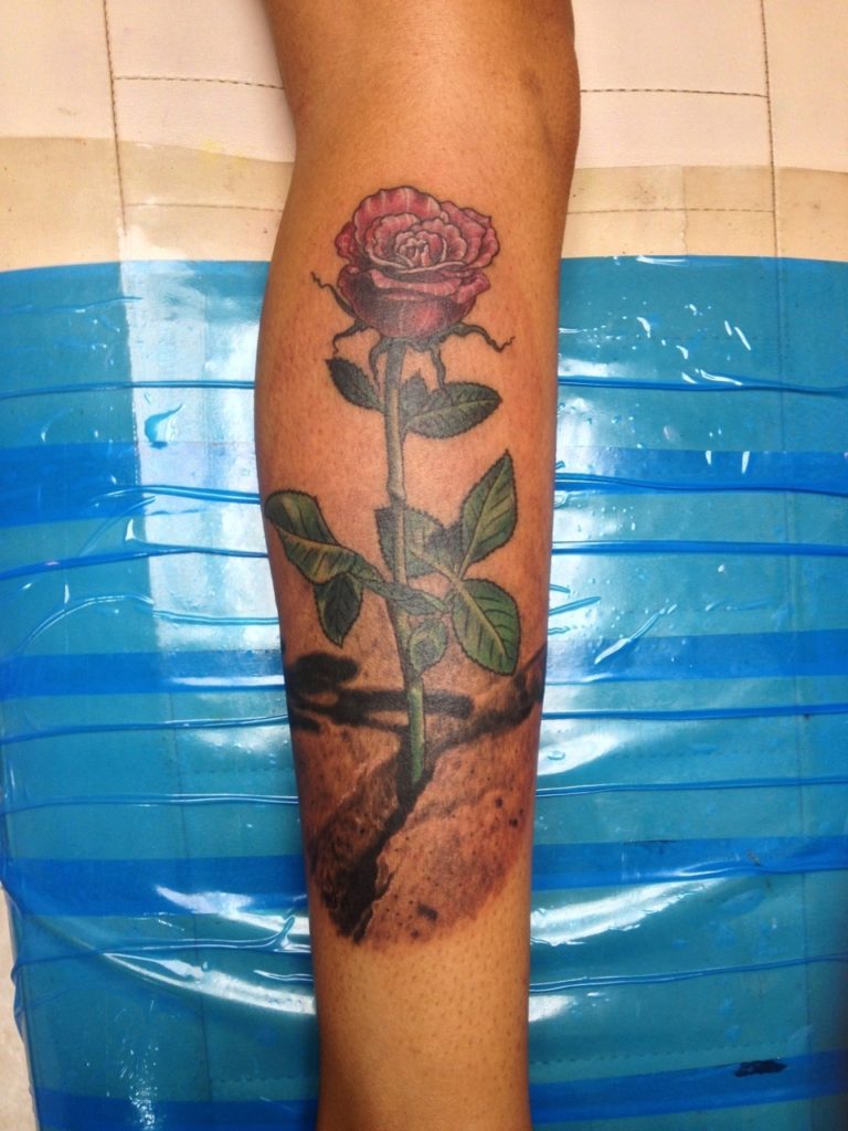 rose that grew from concrete tattoo