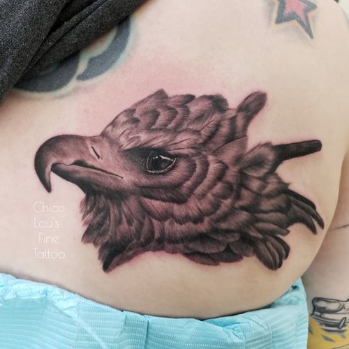 Harpy eagle tattoo