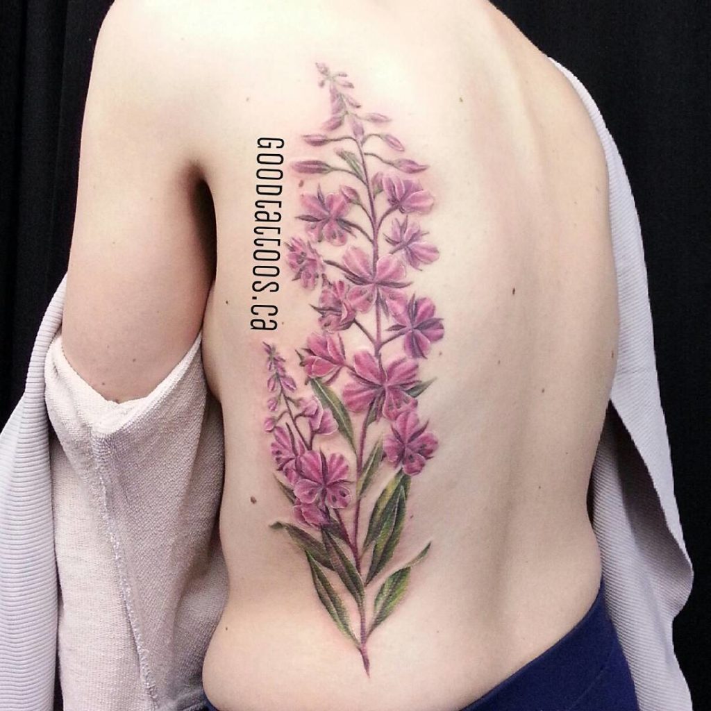 fireweed tattoo