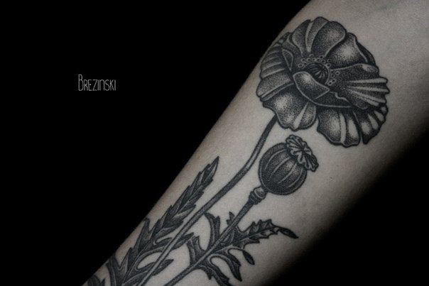poppy tattoo black and white