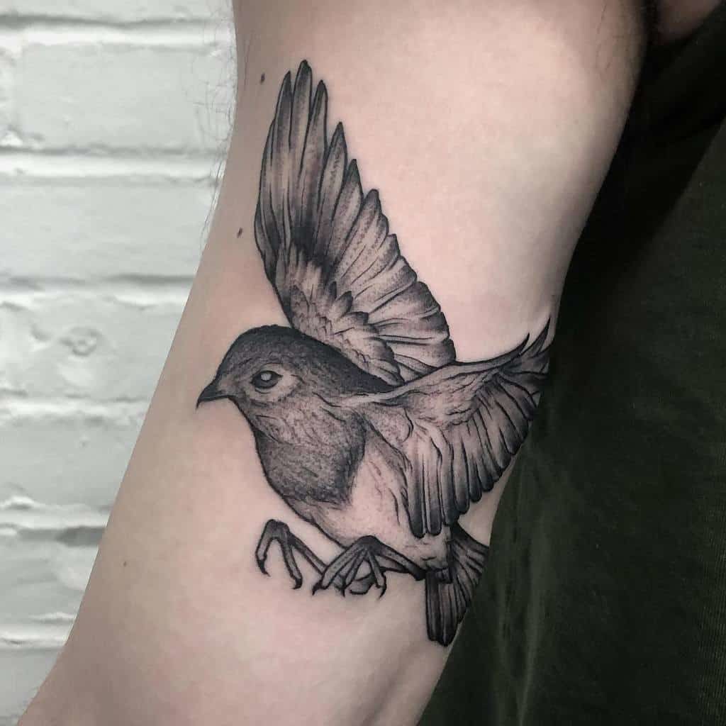 robin bird tattoo