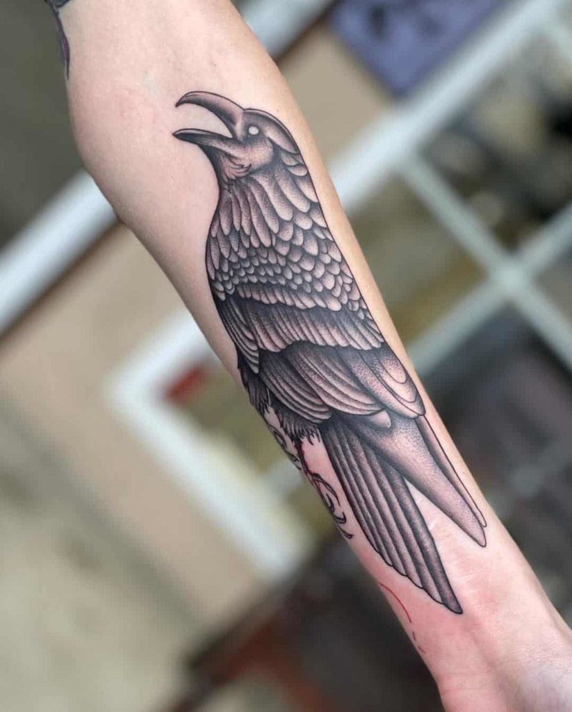 traditional raven tattoo