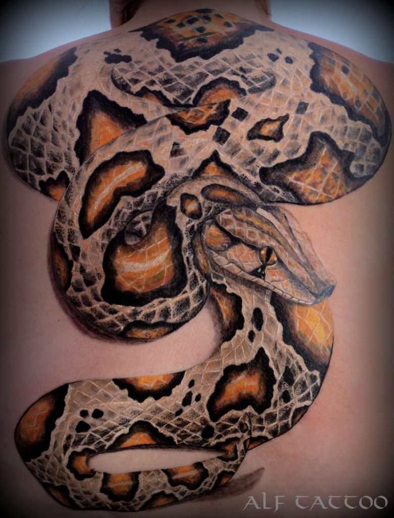 Python tattoo
