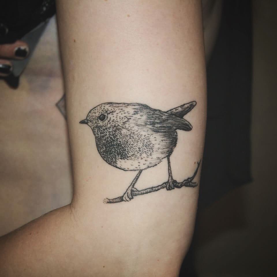robin tattoo